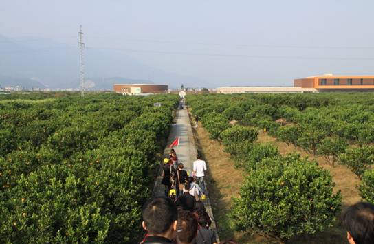 點擊新窗口打開大圖